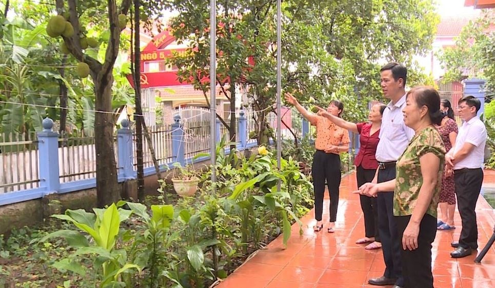 mit-nam-ha-phuc-tho-1.jpg.jpg