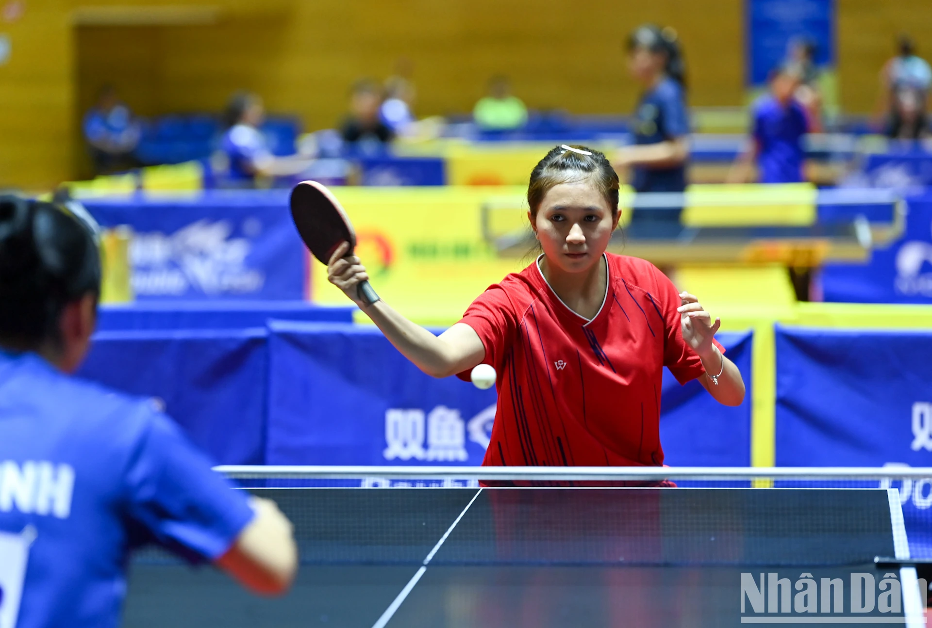 [Photo] Pink ball and table tennis photo 10