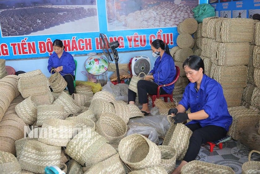 Lao động hoàn thiện sản phẩm cói tại Công ty TNHH Xuất khẩu và Đầu tư Thành Hóa (xã Khánh Nhạc, huyện Yên Khánh). Ảnh: Báo Ninh Bình.