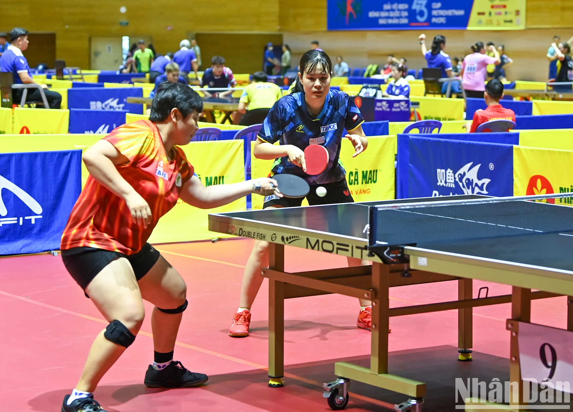 [Photo] Pink ball and table tennis photo 8