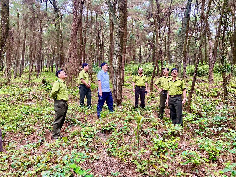ทำงานหนักเพื่อปกป้องป่าในฤดูร้อน