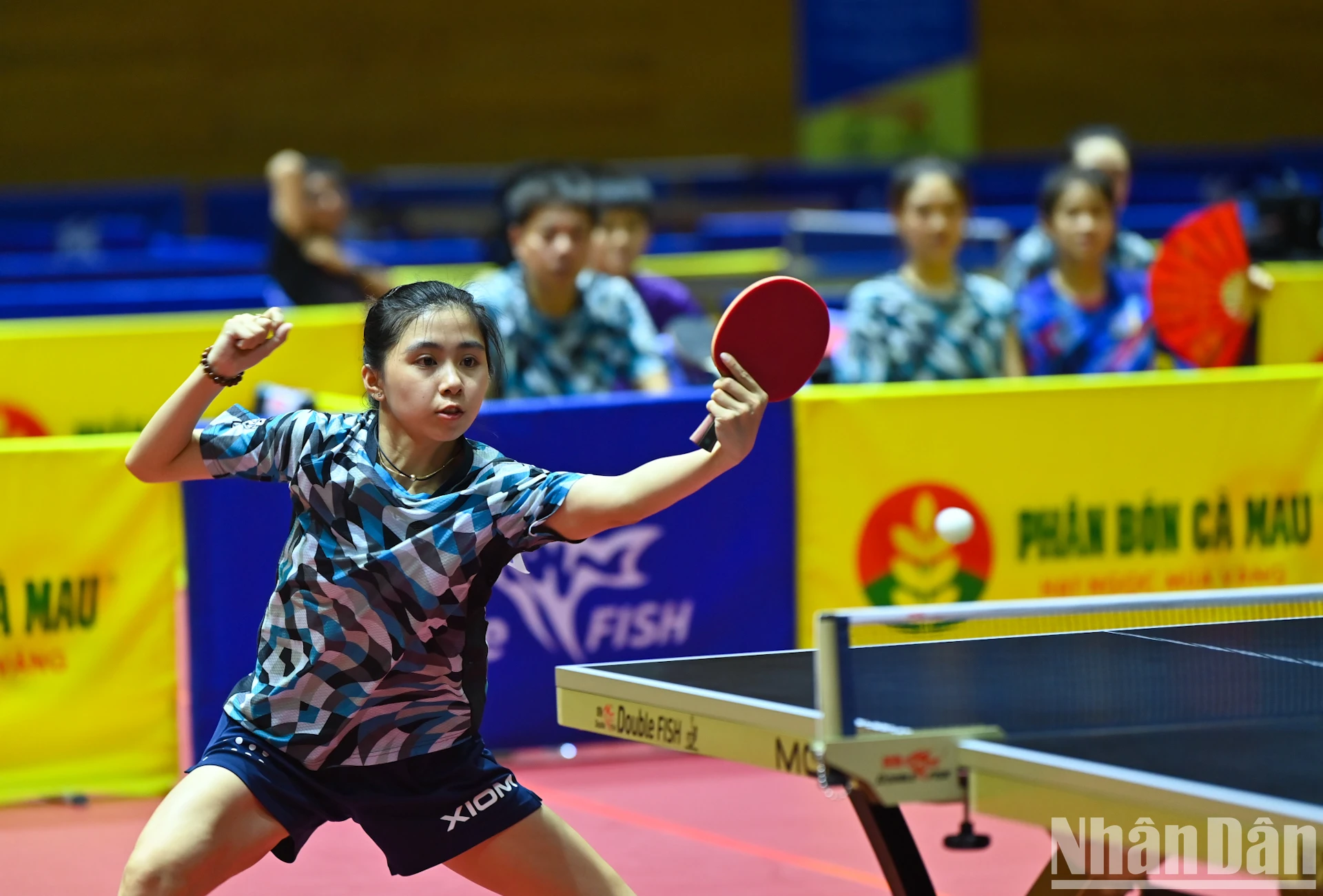 [Photo] Pink ball and table tennis photo 6