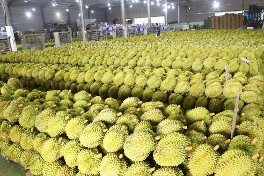 Trung Quốc siết mạnh, giá sầu riêng giảm - 1