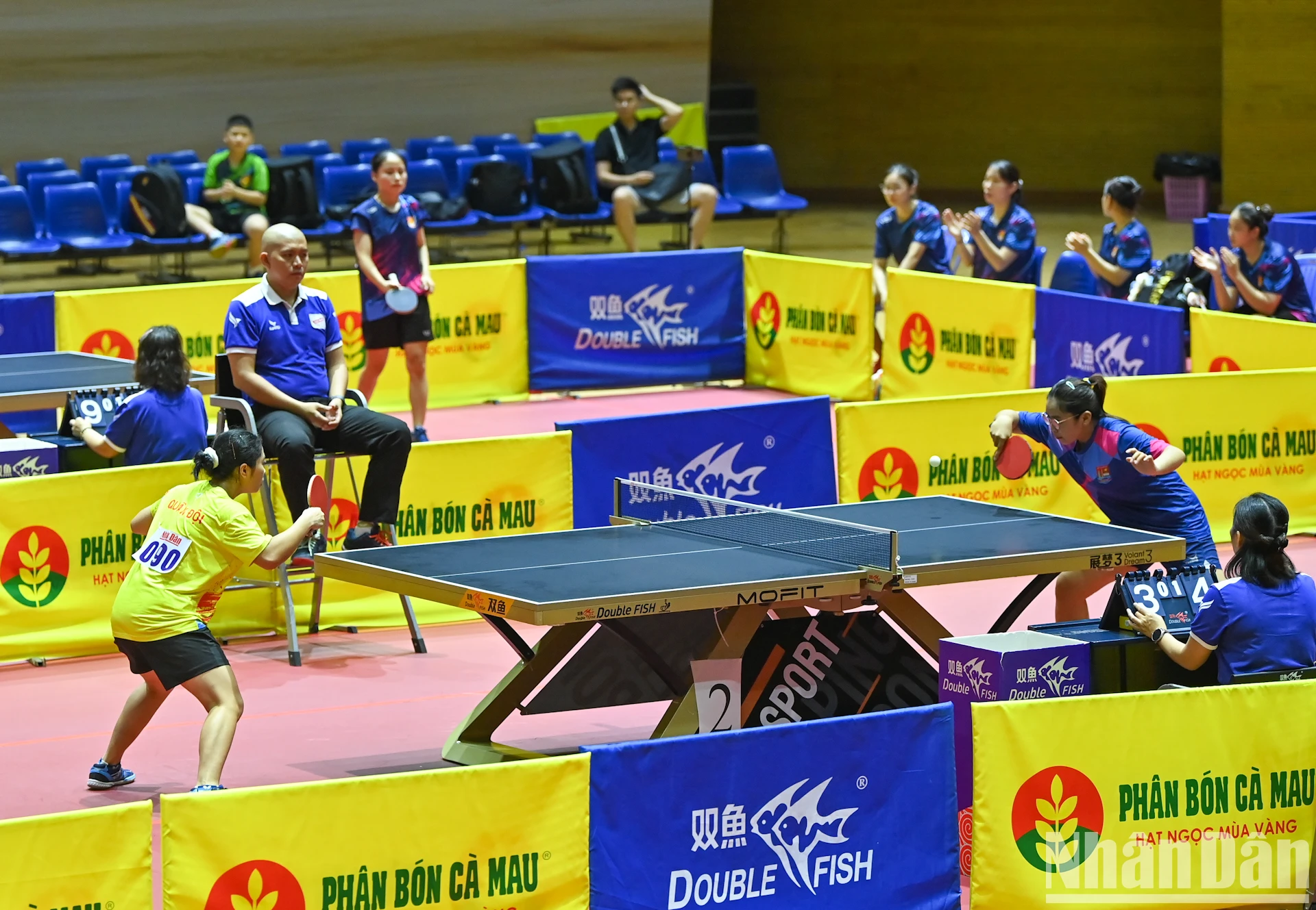 [Photo] Pink ball and table tennis photo 13