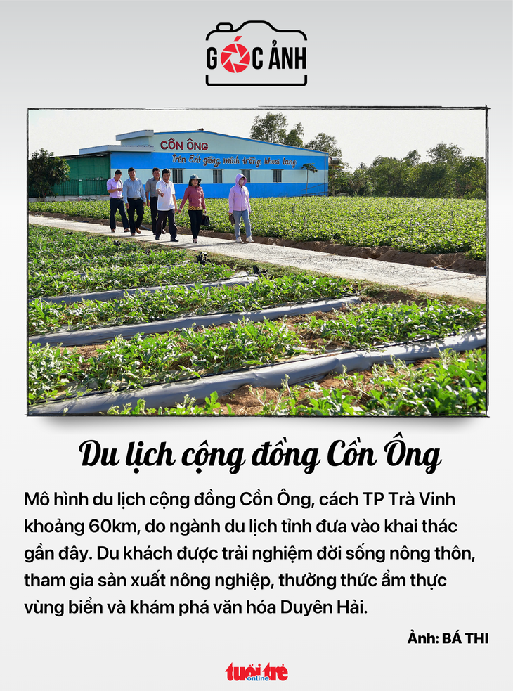 cổ phiếu - Ảnh 6.