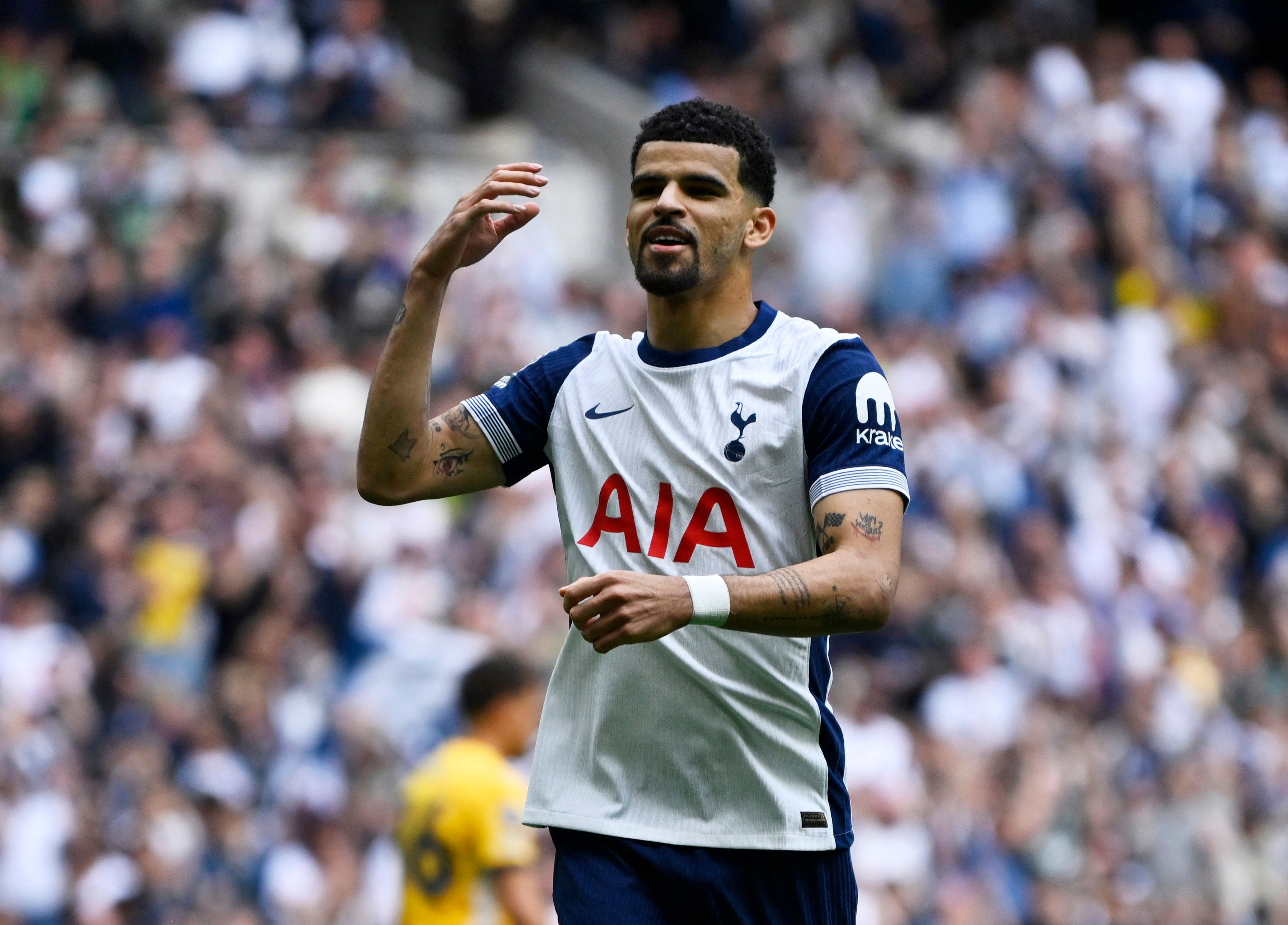 Premier League anh 9