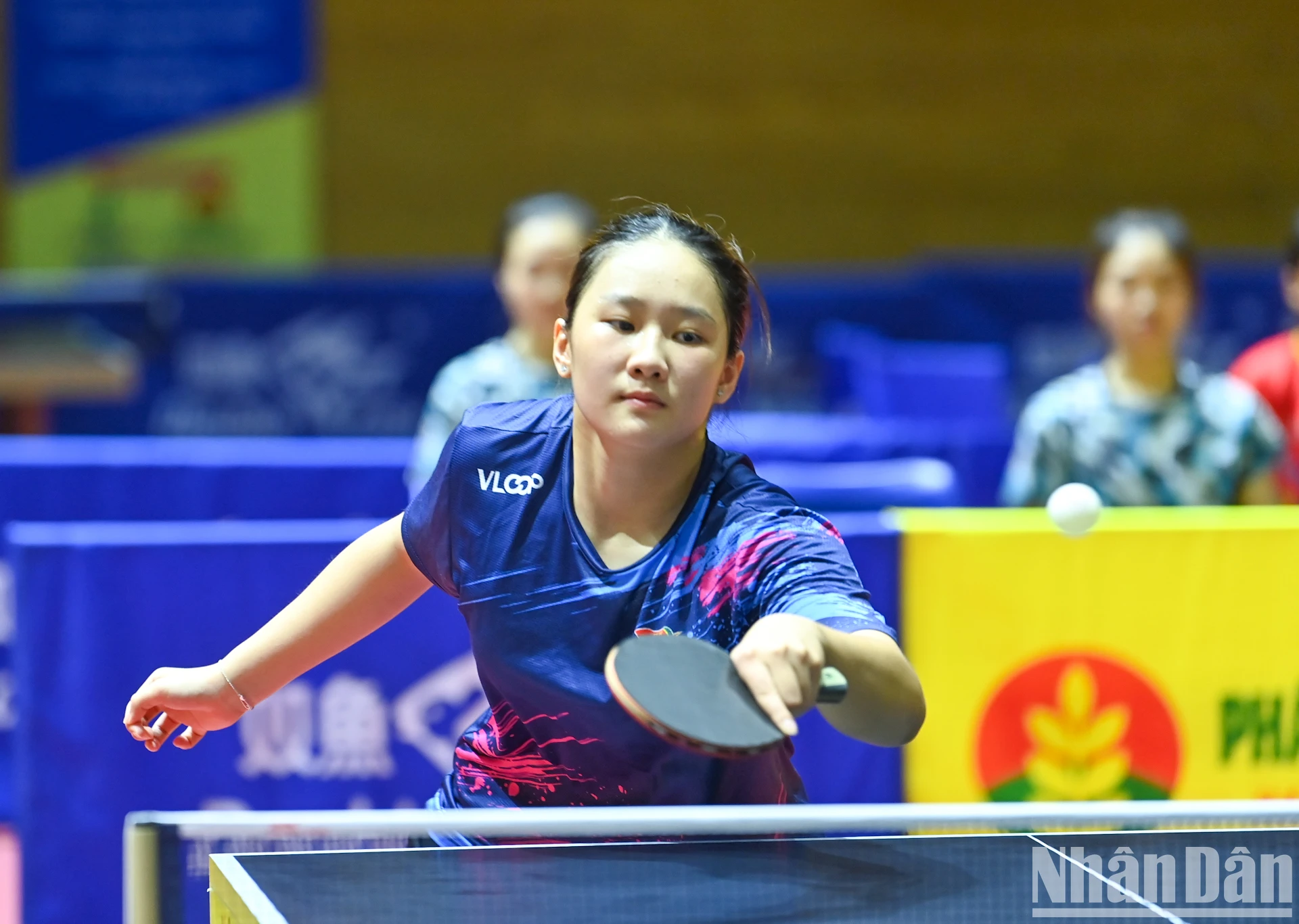 [Photo] Pink ball and table tennis photo 11