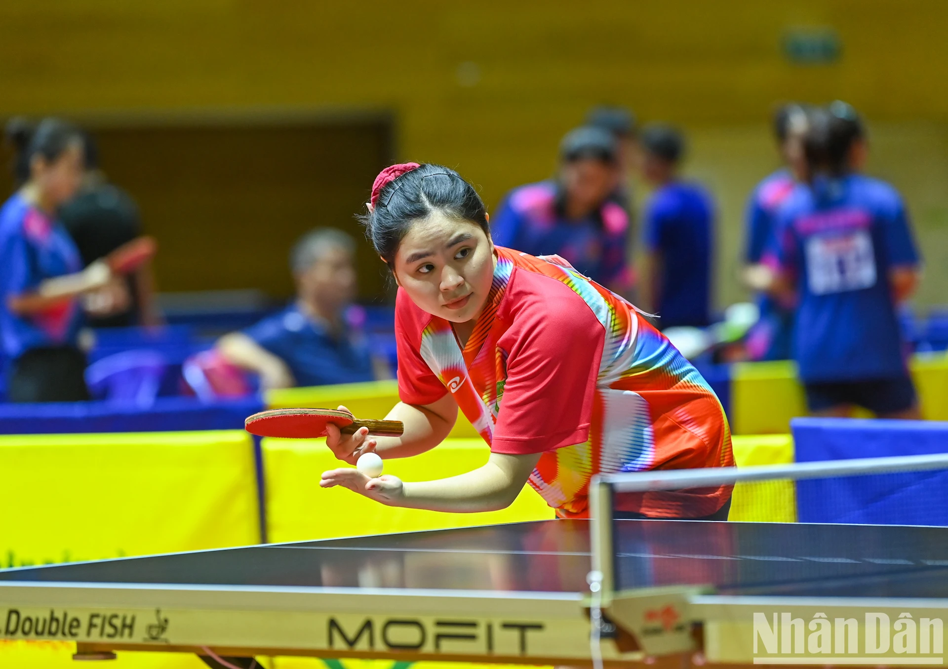 [Photo] Pink ball and table tennis photo 5