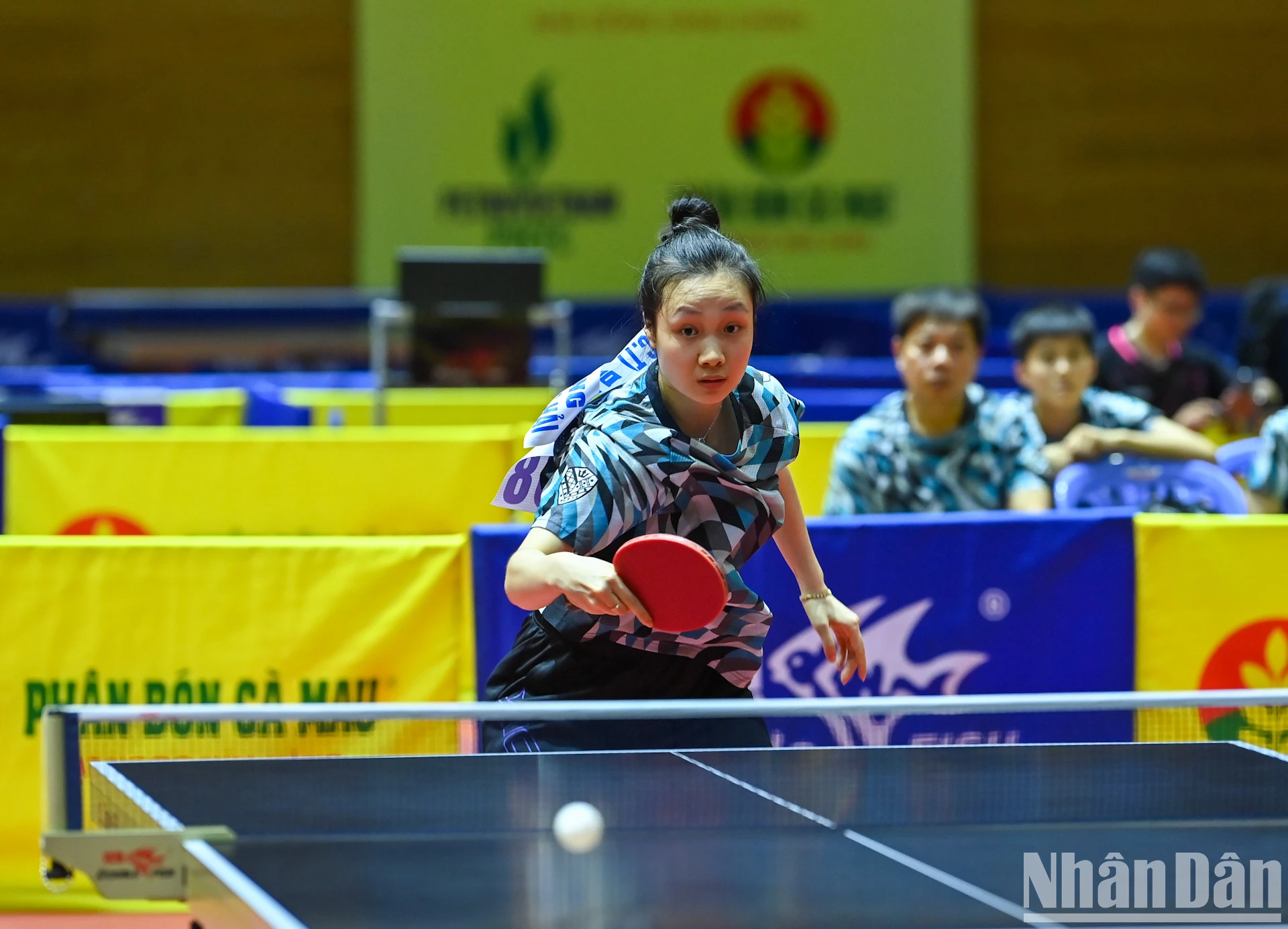[Photo] Pink ball and table tennis photo 2