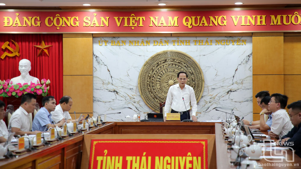 タイグエン省人民委員会副委員長のグエン・リン同志が会議で演説した。