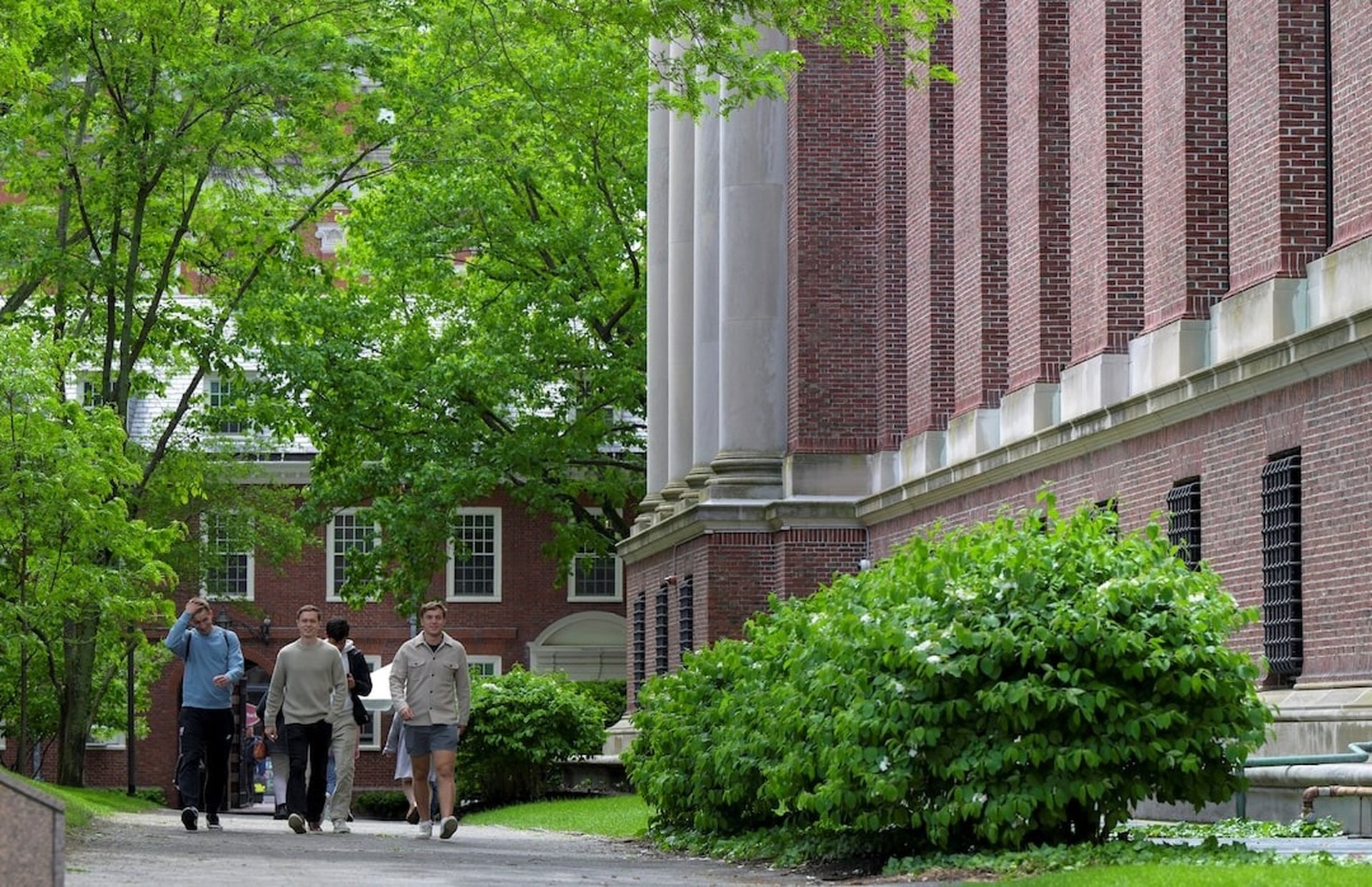 Động thái của Trung Quốc khi Harvard bị cấm tuyển sinh viên quốc tế - 1
