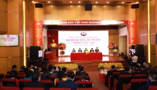 265-toan-anh-dai-hoi.jpg