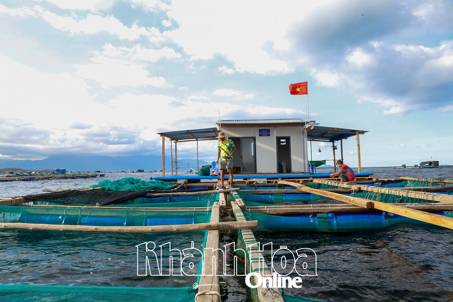 សហគមន៍នេសាទនៃឃុំ Van Hung ទាំងអភិវឌ្ឍជីវភាពរស់នៅ និងការពារប្រព័ន្ធអេកូឡូស៊ីសមុទ្រ Ran Trao។  