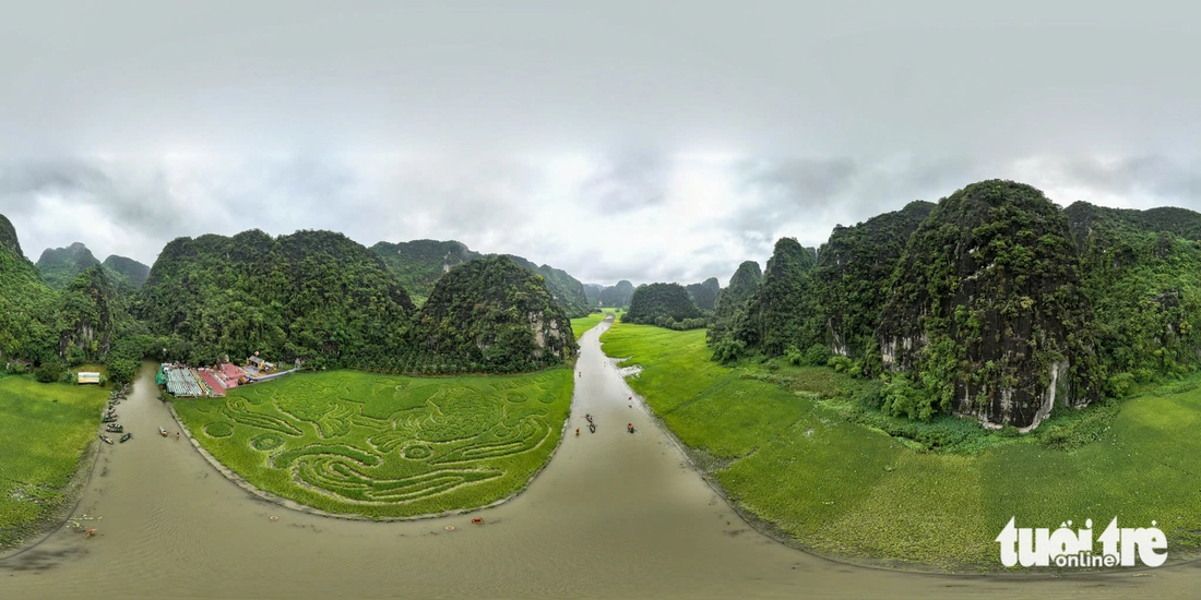đồng lúa - Ảnh 5.