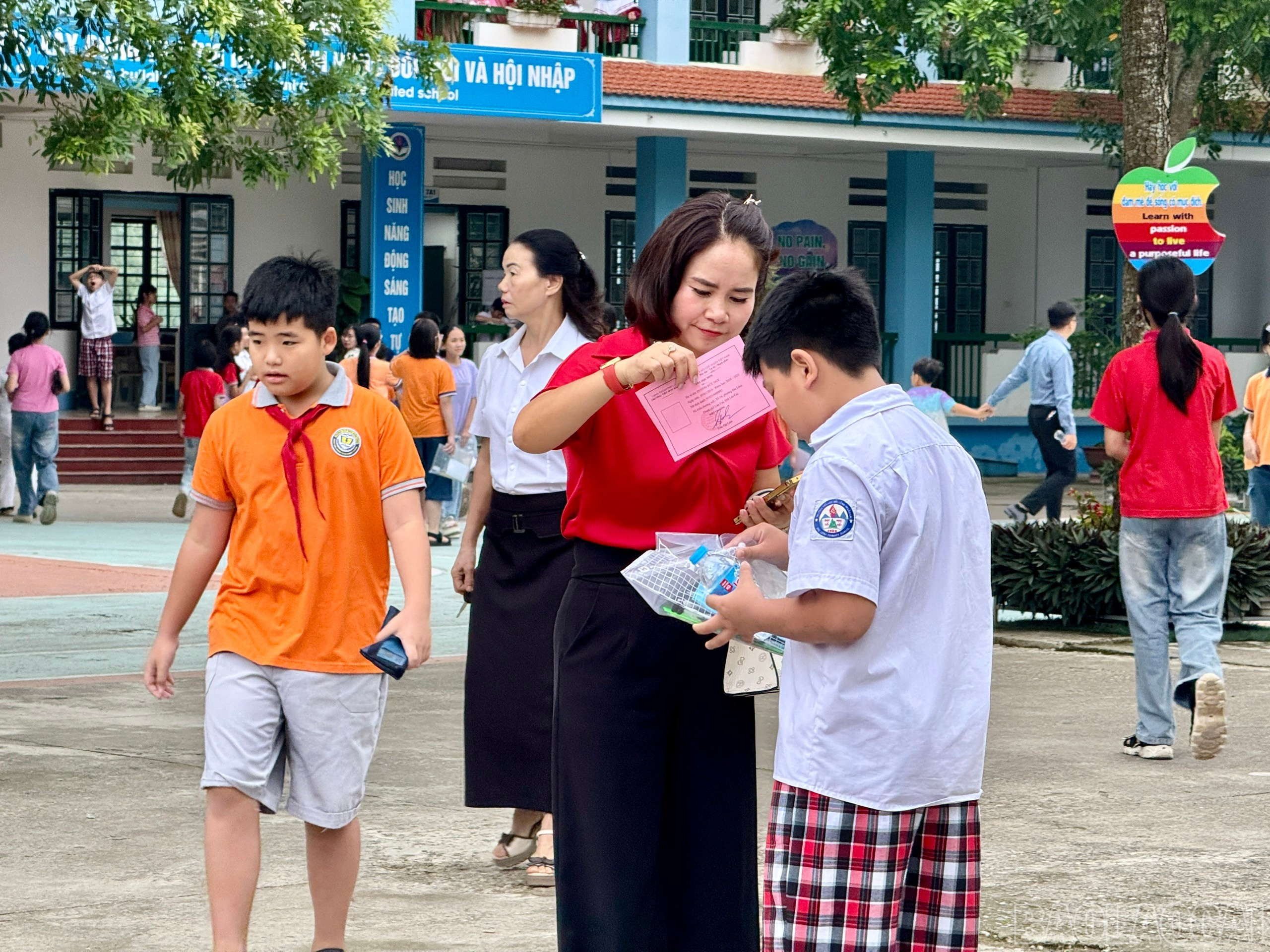 baolaocai-br_z6642827176668-32012b67112e393e917af96937a47cd2.jpg