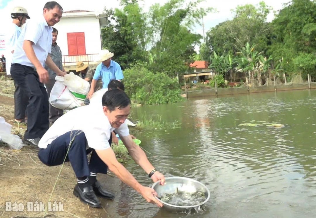 Sau lễ phát động các đồng chí lãnh đạo huyện Krông Buks và nhân dân trên địa bàn thả cá giống xuống hồ