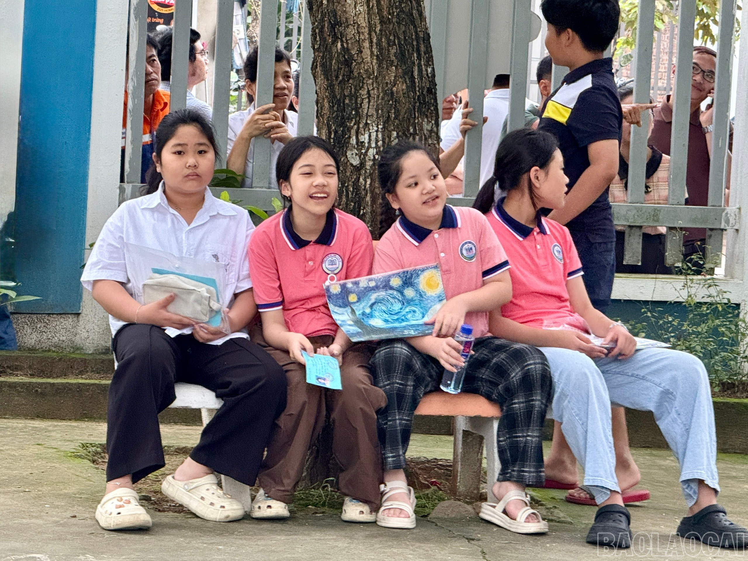 baolaocai-br_z6642827334725-a92e9eebc178bd131f63b2e6ae0984e0.jpg