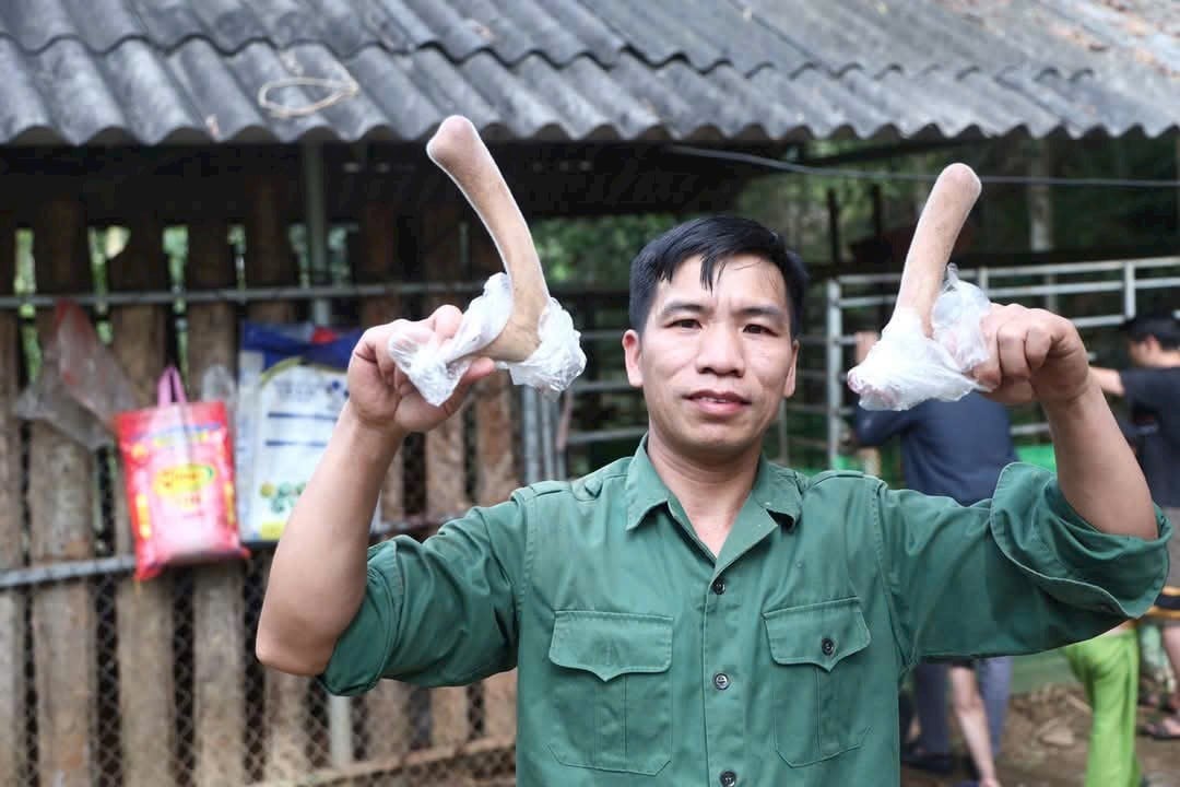 Trưởng thôn tập hợp người dân nuôi hươu sao, cùng giúp nhau làm giàu ảnh 3