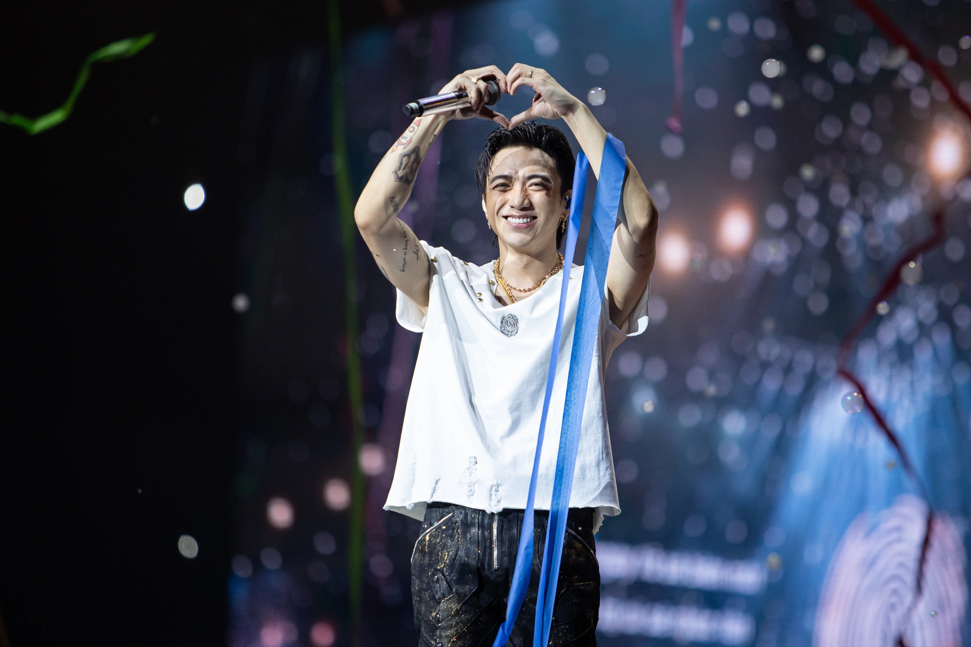 14.webp