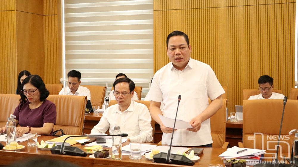 Lãnh đạo huyện Phú Lương báo cáo kết quả xây dựng huyện nông thôn mới của địa phương.
