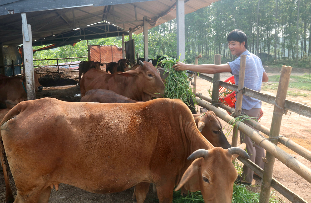 ตัวอย่างอันสดใสในพื้นที่เขาดงเบน