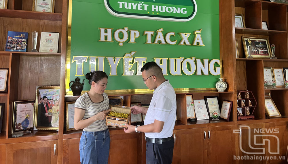 Выставочный стенд чайного кооператива Tuyet Huong (Dong Hy).