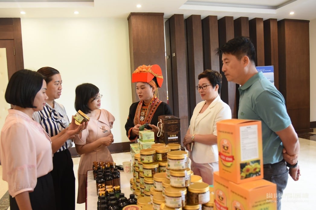គណៈប្រតិភូបានទៅទស្សនាតំបន់តាំងពិព័រណ៌ ឧទ្ទេសនាមអំពីជំនាញរបស់ស្រុក Loc Binh។