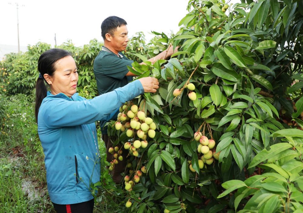 Hút khách mùa hè ở Bắc Giang: Điểm du lịch đổi mới, đón thời cơ - Ảnh 3.