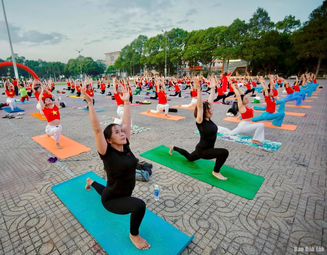 Các vận động viên đồng diễn bài tập Yoga.