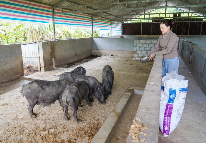 Thông tin mở lối cho hơn 1.100 hộ phụ nữ Nghệ An thoát nghèo, 660 ý tưởng khởi nghiệp thành công- Ảnh 2.
