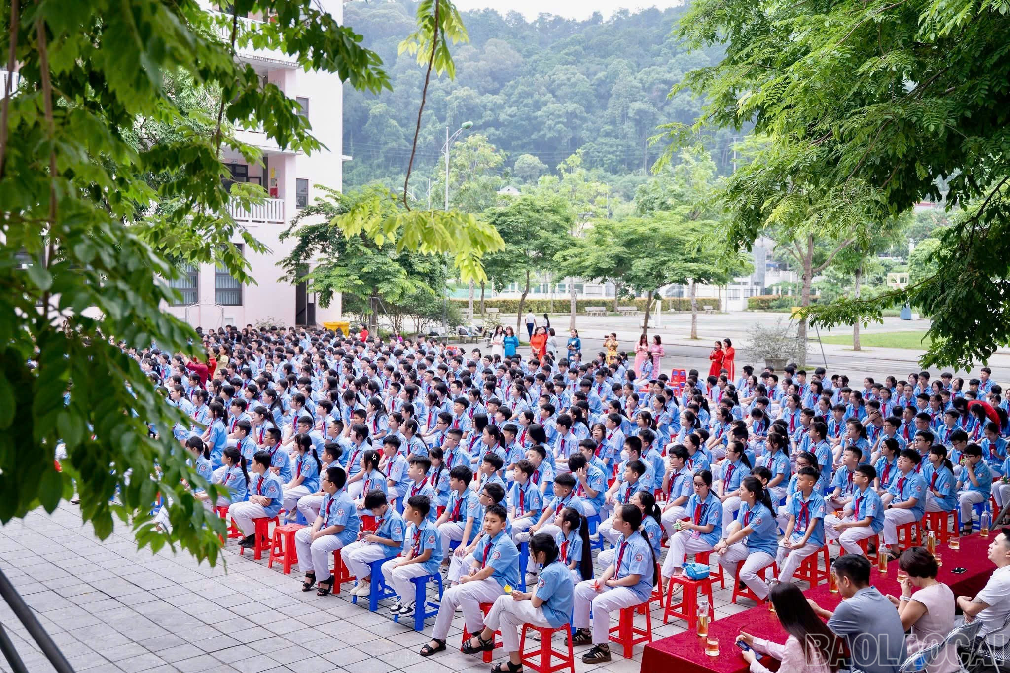 baolaocai-br_z6642848025034-07c4f476f9d50effc64ad820e63090a7.jpg