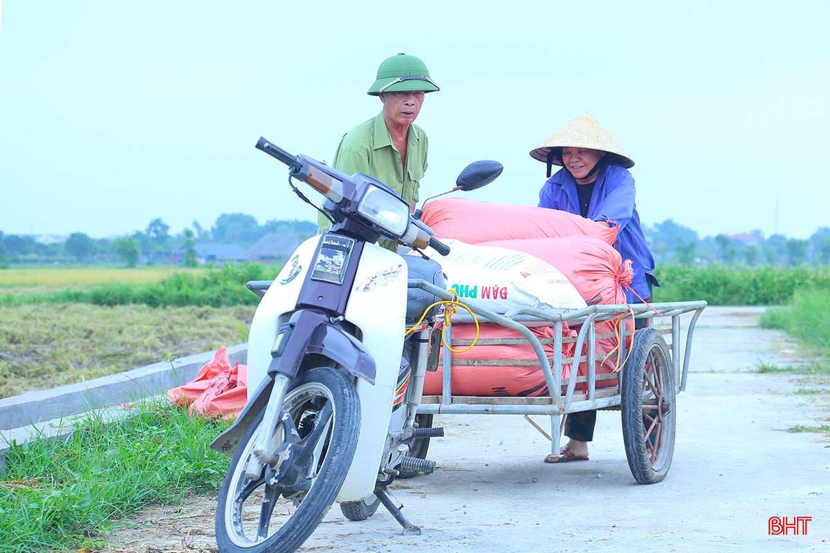 Bà Nguyễn Thị Hoa (TDP Thanh Tiến, phường Đồng Môn, TP Hà Tĩnh) cho biết: "Gia đình tôi vụ này làm 7 sào, đợt mưa vừa rồi đổ ngã gần hết. Sáng nay, tôi phải gọi thêm con cháu về phụ giúp, tranh thủ từng giờ, từng phút để gặt. Lúa bị ngập, thân cây yếu nên máy gặt cũng khó đi, nhiều chỗ phải cắt tay, rất vất vả".