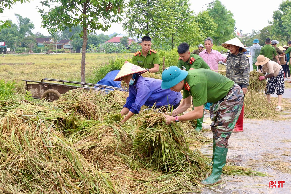 Thiếu tá Thái Văn Minh - Phó Trưởng Công an xã Thạch Ngọc cho biết: “Ngay sau đợt mưa lớn, chúng tôi đã khẩn trương nắm tình hình thiệt hại tại các thôn và tổ chức lực lượng hỗ trợ bà con thu hoạch lúa kịp thời. Trước mắt, chúng tôi ưu tiên giúp đỡ các hộ có hoàn cảnh đặc biệt như người già neo đơn, gia đình chính sách không có lao động chính. Việc xuống đồng giúp dân không chỉ nhằm giảm thiểu thiệt hại mùa màng mà còn thể hiện trách nhiệm, tình cảm gắn bó giữa lực lượng công an và Nhân dân".
