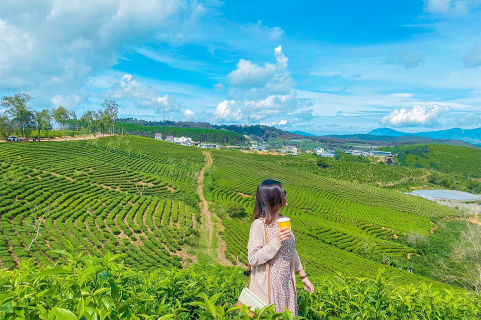 Ăn gì trên cung đường đi Trại Mát? Gợi ý địa điểm ăn uống ngon - chill - đúng chất Đà Lạt