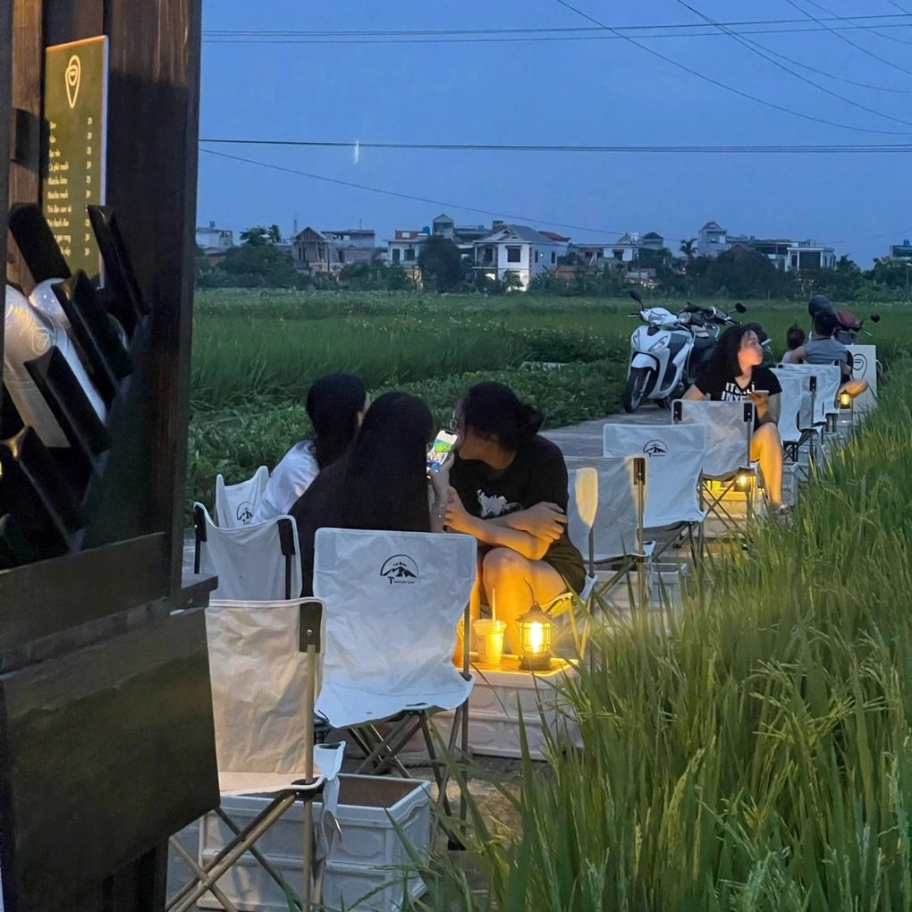 Thái Bình: Quán cà phê giữa cánh đồng lúa, chủ quán chuẩn bị cả thuốc muỗi - 2