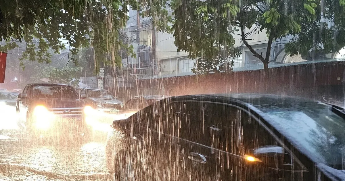 Ministerium für Landwirtschaft und Umwelt schlägt Reaktion auf starke