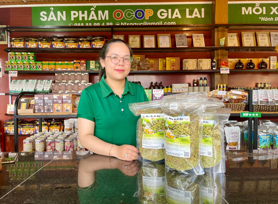 san-pham-hoa-du-du-say-kho-cua-hop-tac-xa-duoc-trung-bay-tai-cua-hang-ocop-cua-hop-tac-xa-nong-nghiep-lien-hiep-gia-lai-anh-hong-thuong.jpg