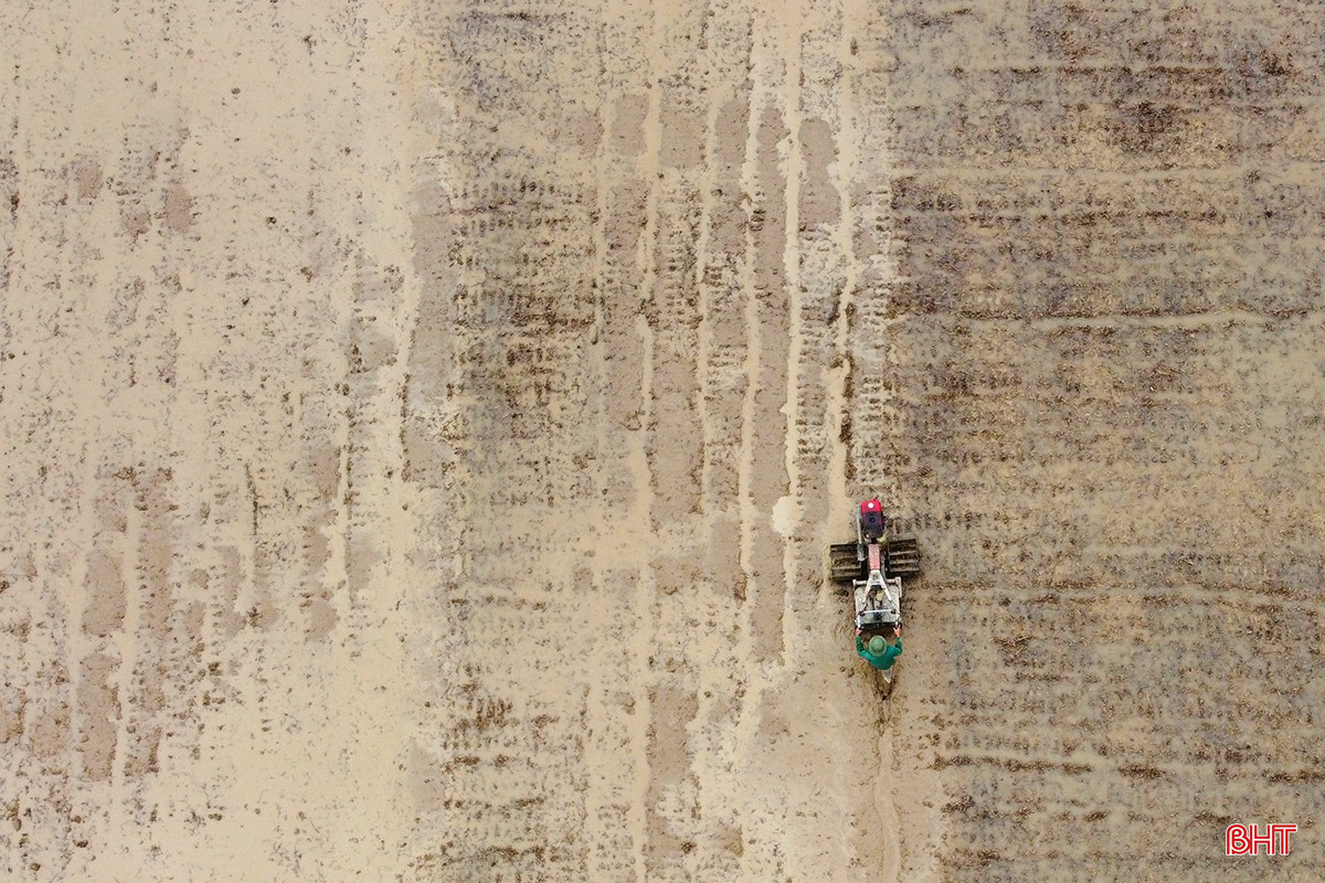 bqbht_br_1dji-0090.jpg