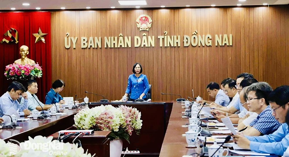 Den Vorsitz der Sitzung führte die stellvertretende Vorsitzende des Volkskomitees der Provinz, Nguyen Thi Hoang. Foto: B.Nguyen