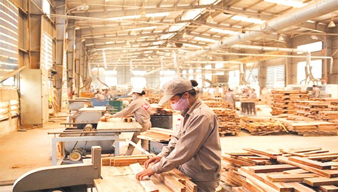 New Zealand thúc đẩy hợp tác với Việt Nam trong lâm nghiệp và giáo dục