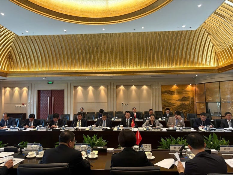Thúc đẩy thương mại nông, lâm, thủy sản với Trung Quốc- Ảnh 1.