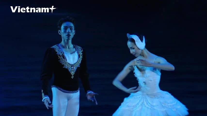 Genießen Sie das klassische Ballett „Schwanensee“ der Vietnam National Opera and Ballet.