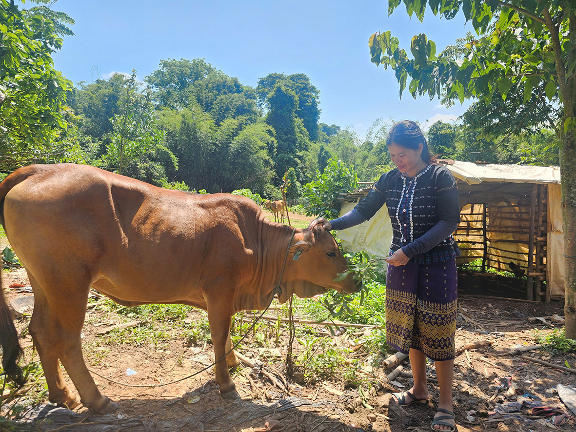 កិច្ច​ខិត​ខំ​ប្រឹង​ប្រែង​គេច​ពី​ភាព​ក្រីក្រ​របស់​ប្រធាន​ក្រឡា​បក្ស​ស្ត្រី​ភូមិ​ត្រុំ