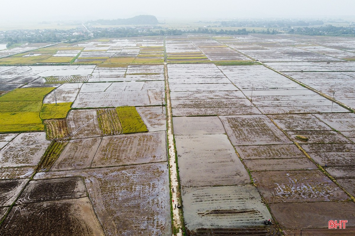 bqbht_br_1dji-0099.jpg