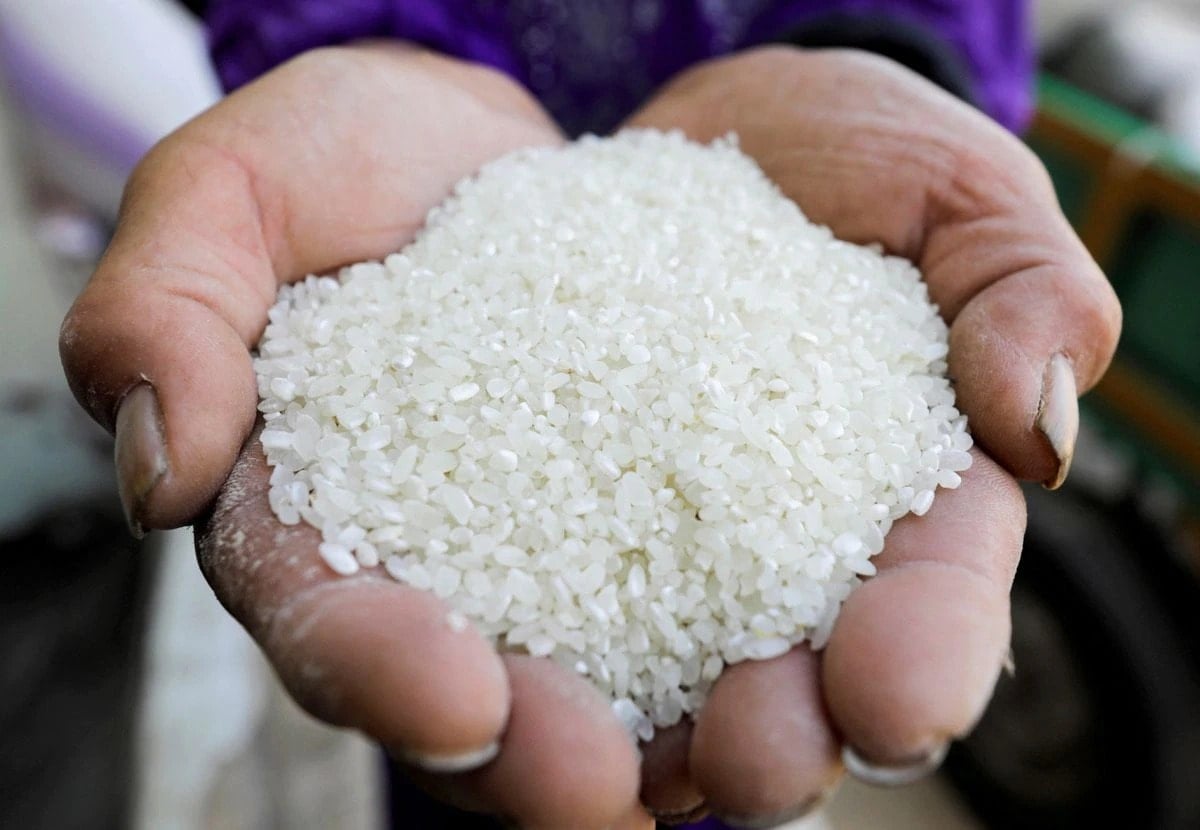 Precio del arroz hoy 28 de mayo de 2025: estable, las exportaciones de arroz tailandés disminuyeron drásticamente