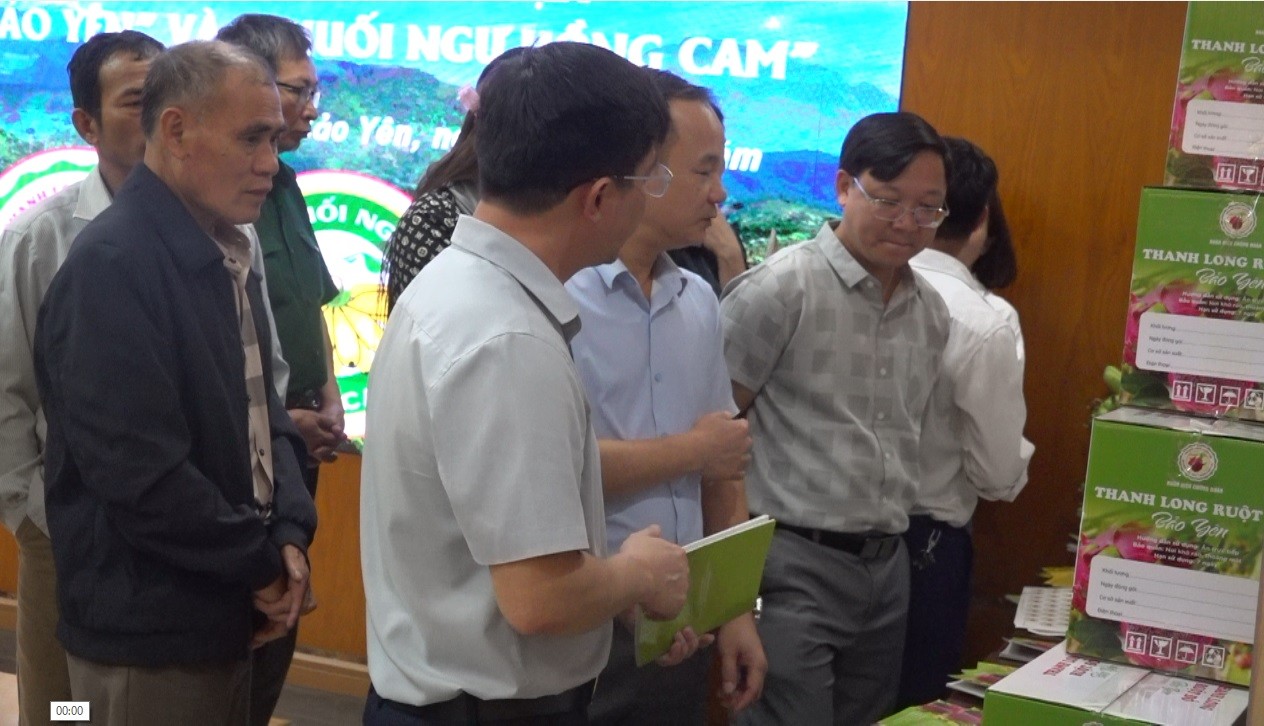 cac-dao-bieu-tham-quan-trung-bay-gian-trung-bay-chung-nhan-nhan-hieu-thanh-long-bao-yen-va-chuoi-ngu-hong-cam.jpg