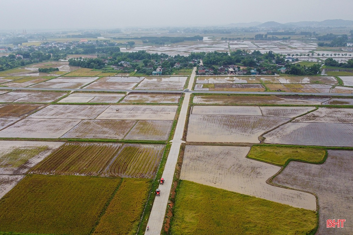 bqbht_br_1dji-0075.jpg