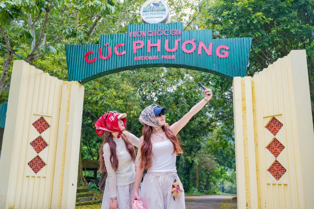 Hơn 400 loài bướm khoe sắc níu chân du khách trong rừng Cúc Phương - 1
