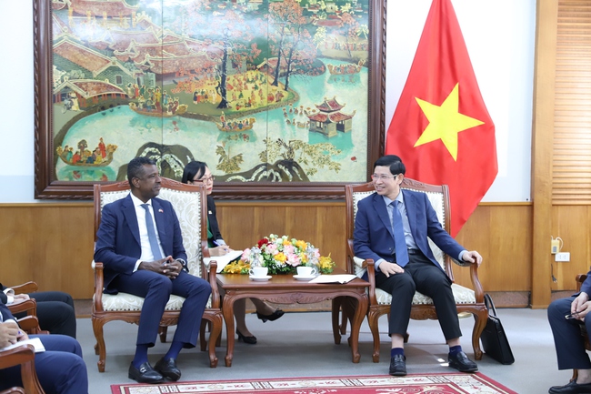 Thúc đẩy hơn mối quan hệ hữu nghị giữa Việt Nam - Cộng đồng thịnh vượng chung Dominica - Ảnh 1.