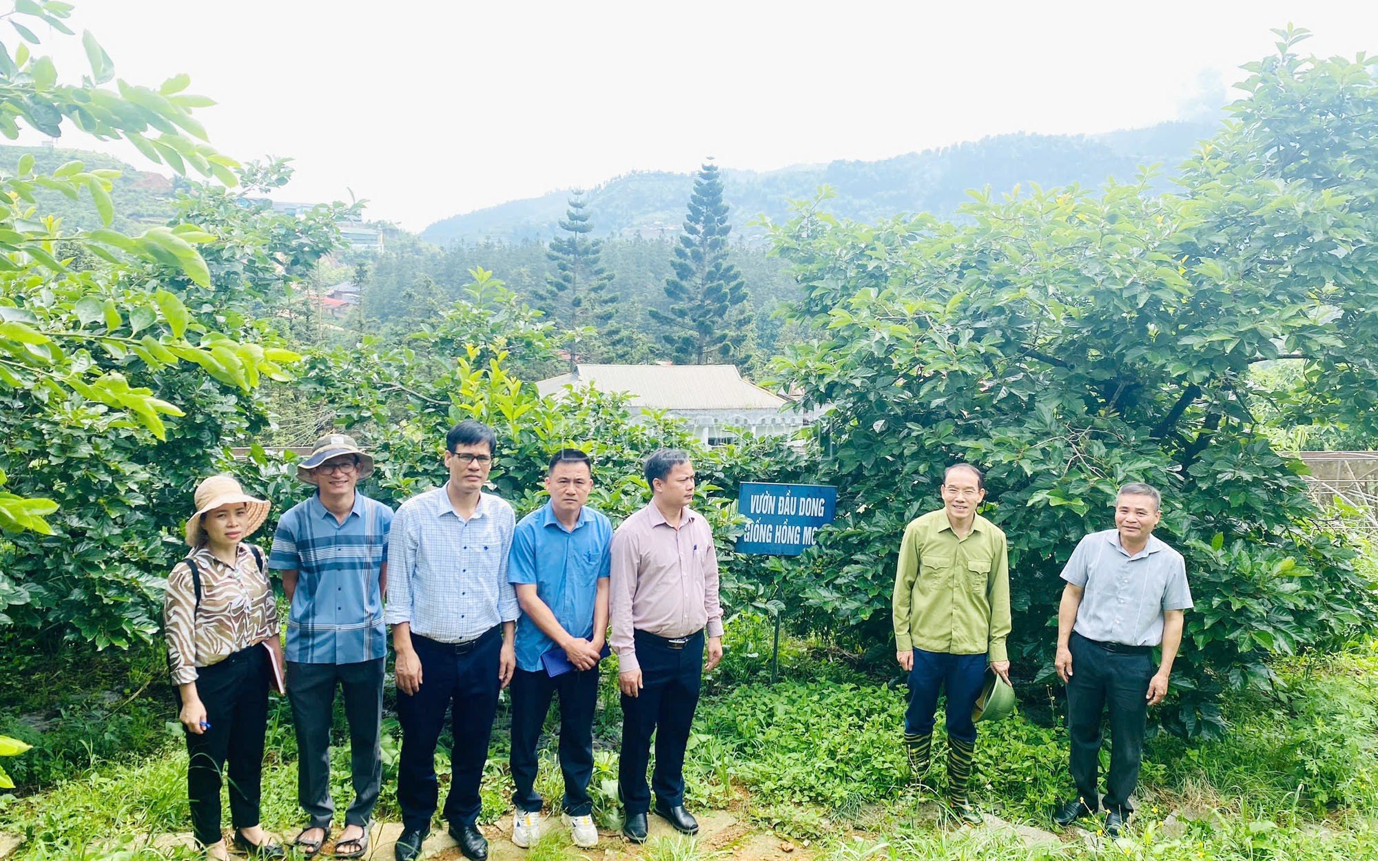 baolaocai-c_kiem-tra-thuc-dia-vuon-hong.jpg